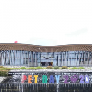 从皮革边角料到宠物经济，浙江平阳的“萌宠小镇”变形记